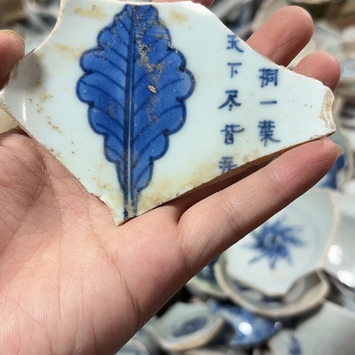 瓷片瓷片标本，顺丰包邮