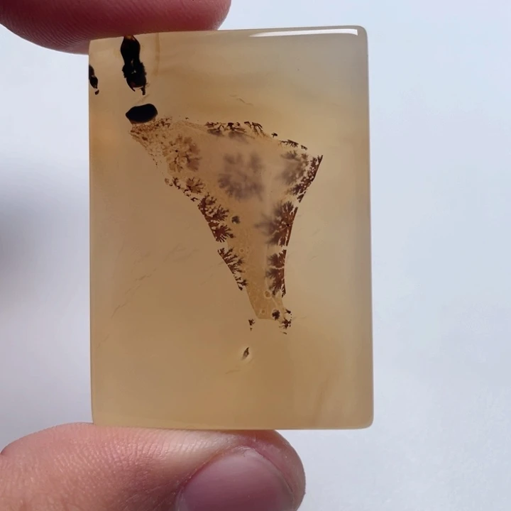 玛瑙/玉髓颈饰未镶嵌大*鹅