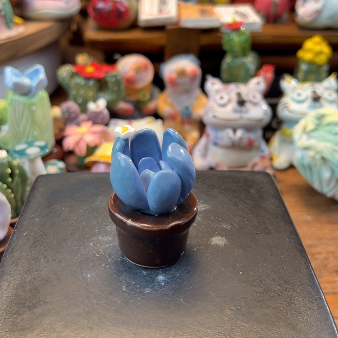 y****爱小镇青花每日有新品