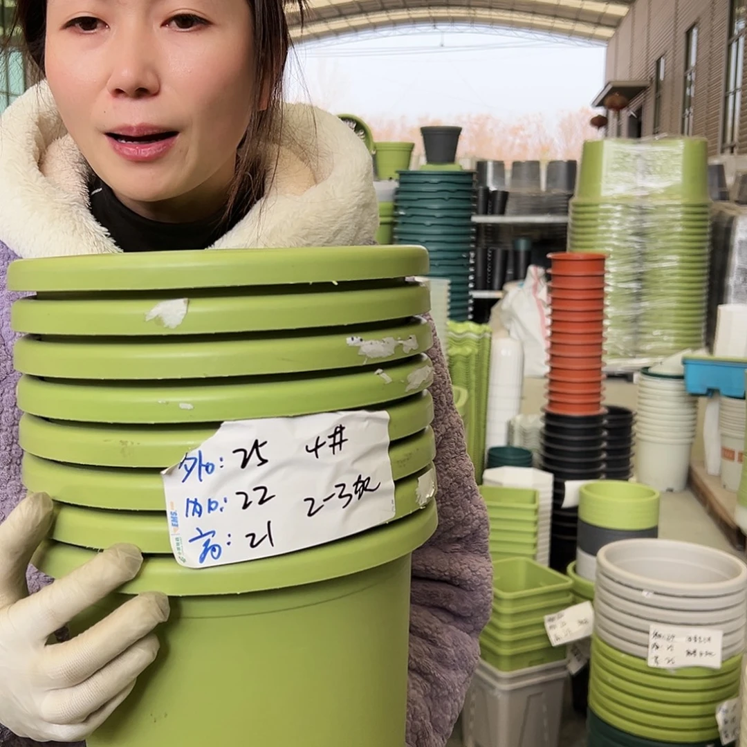 四季盆4#果绿8个无托