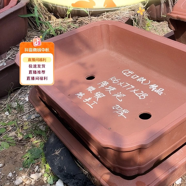 特价处理紫砂一只