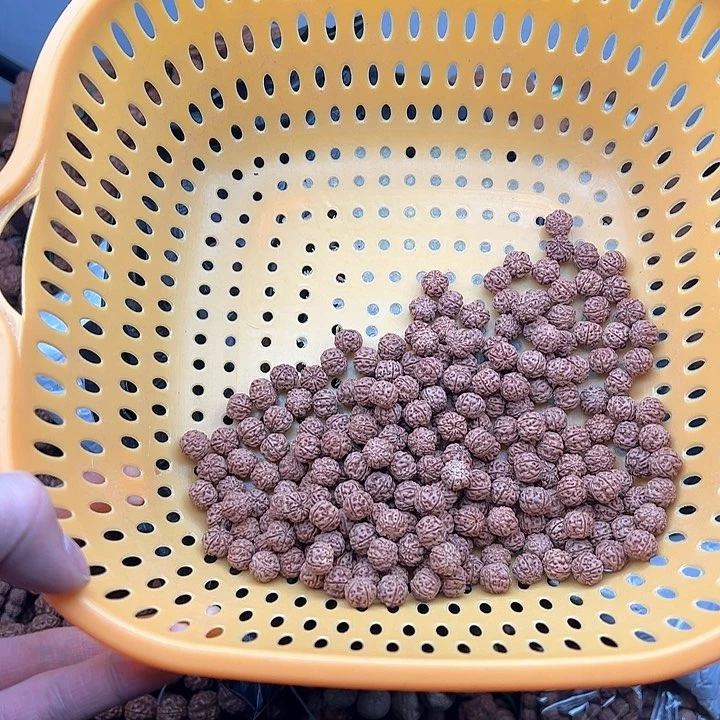 金刚菩提手串懵****逼好评