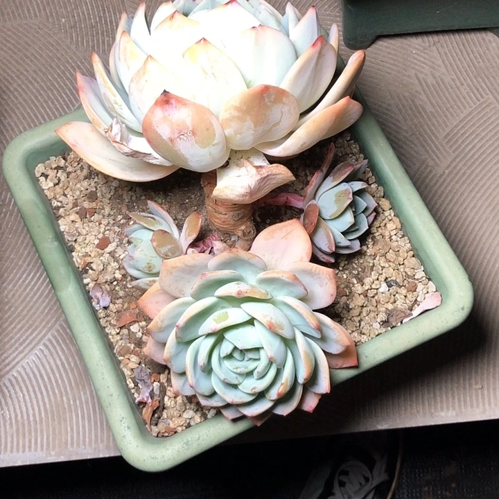 滚*114///////////////