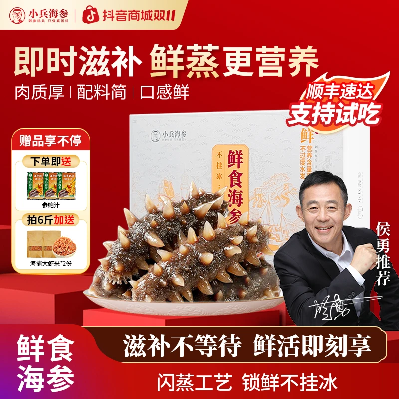 【双11抢先购】侯勇推荐小兵鲜食即食正宗大连辽海参高营养正宗辽参