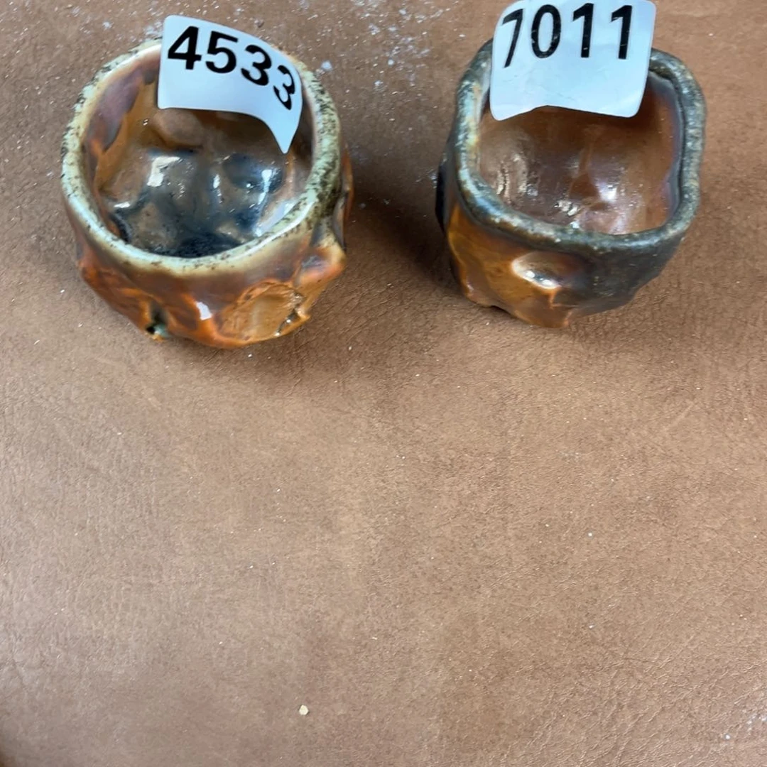 杯龙*柴烧茶器主人杯