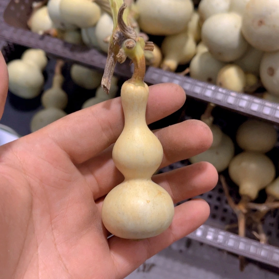 我***懂感谢大哥支持兄弟，不保