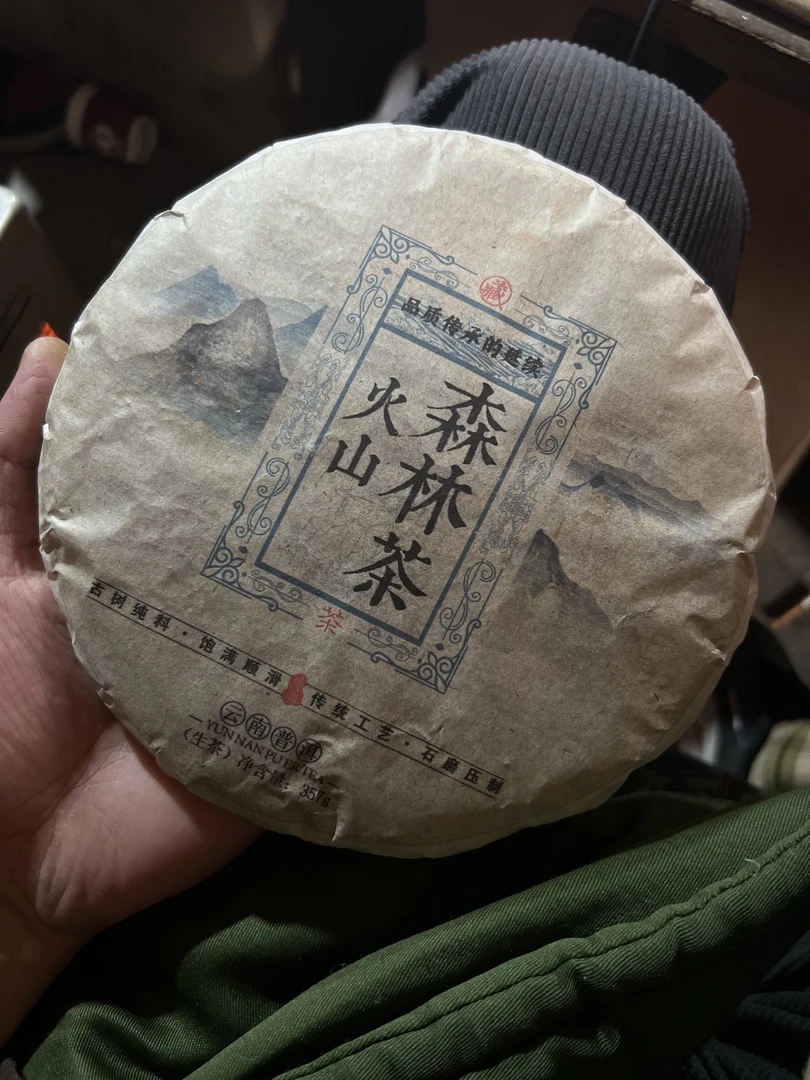 云南普洱茶2021年火山森林茶   金进竹   直播2025.1.22  （14）