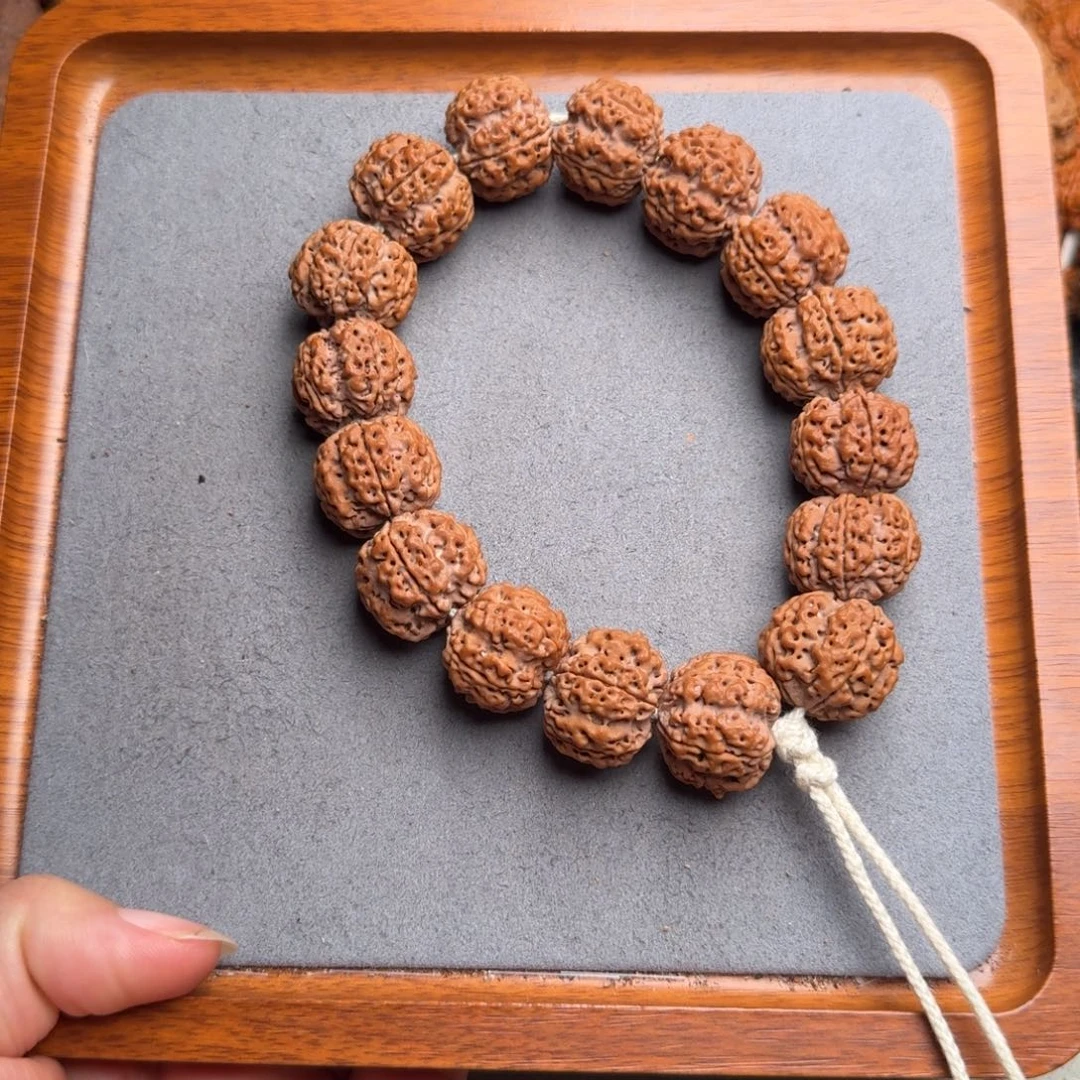 菩提32号尼泊尔大金刚21双龙梅花