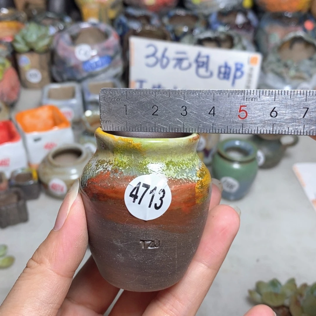 拍5送一个小礼物