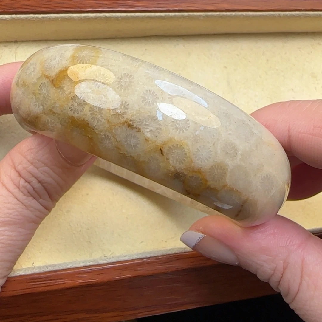 硅化珊瑚（珊瑚玉）未镶嵌手镯53-54+