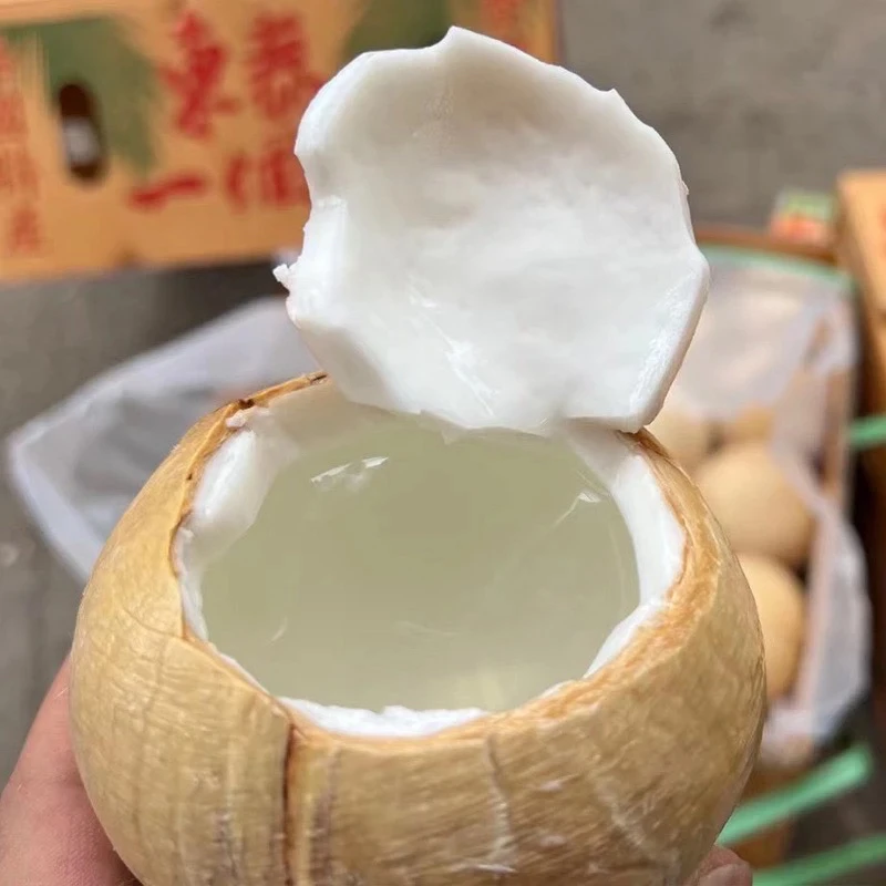 老牛优选 功夫椰皇1件5颗 单果1-1.3斤原包32粒拆包快递包邮