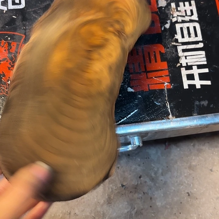 金丝楠金丝楠阴沉木