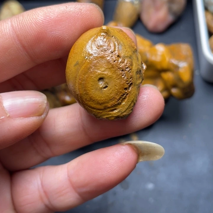 石材纯天然原石奇石140