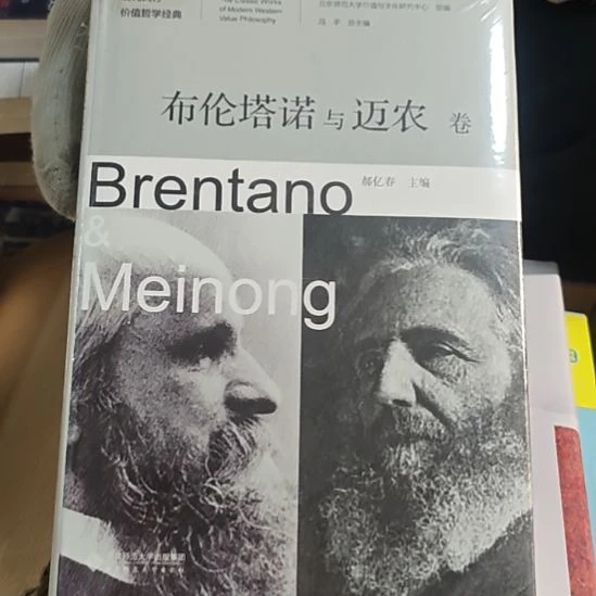 布论塔诺与迈农卷精装塑封