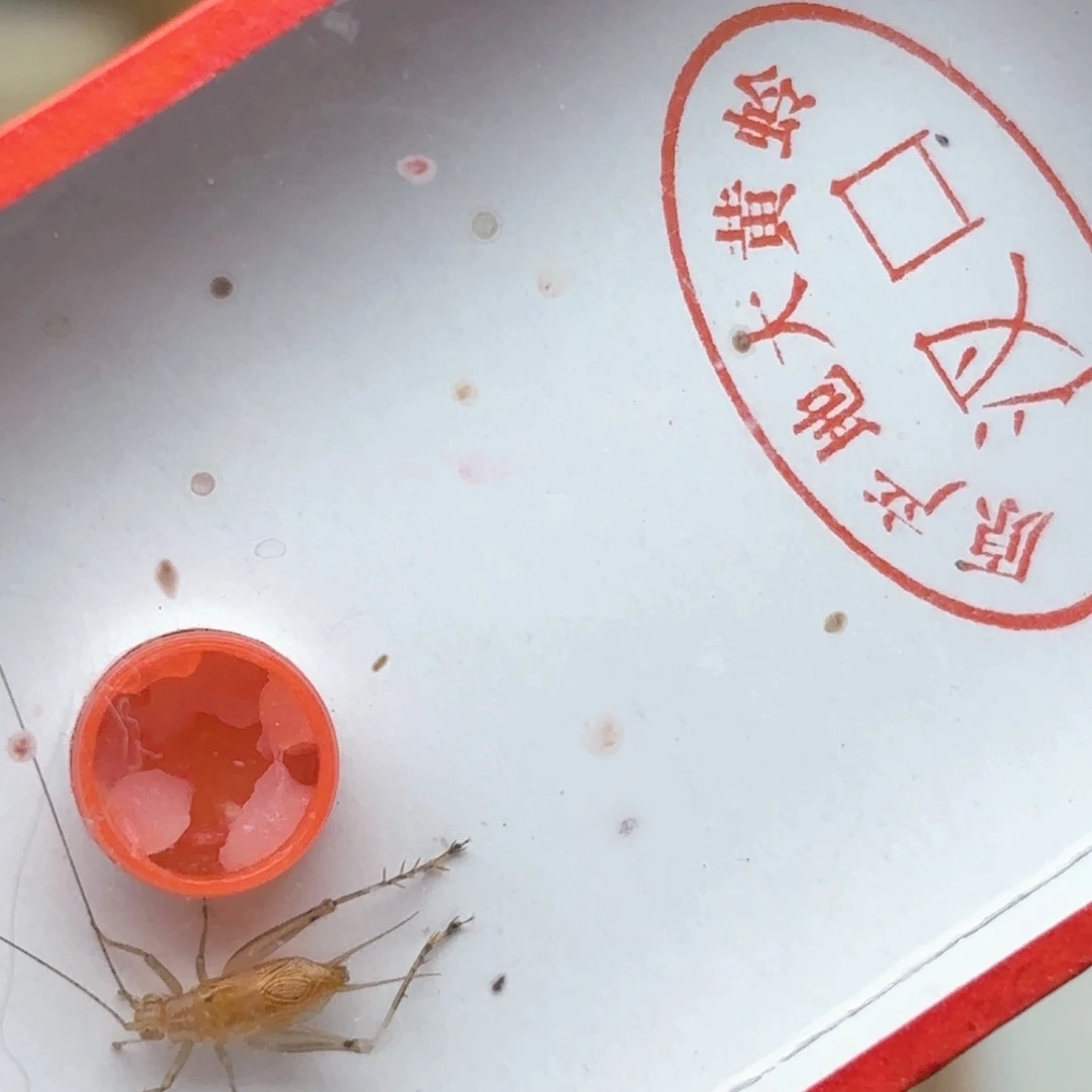 哈哈哈哈哈哈哈哈