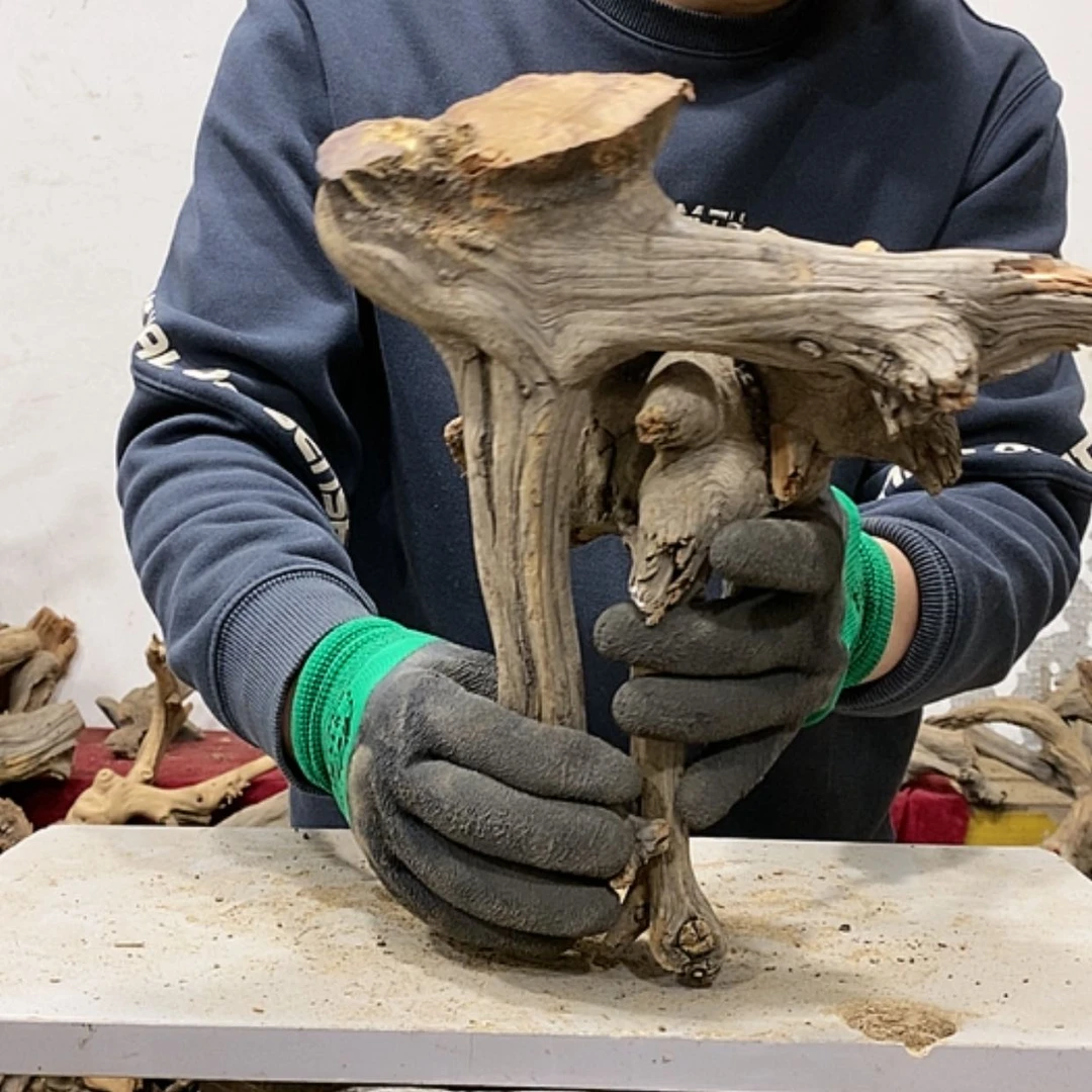 【闪购商品】柏木叶*我们都是好孩子