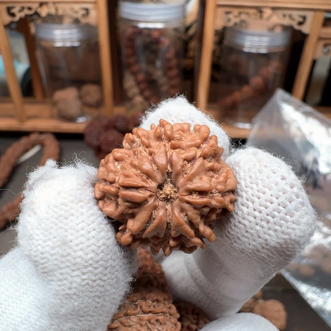 金刚菩提手串八瓣单颗