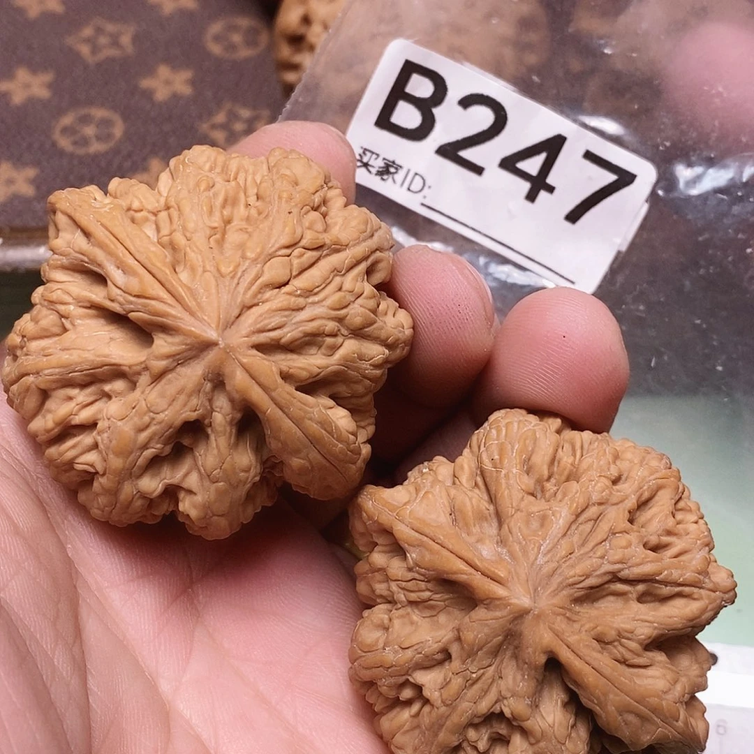 文玩核桃把件粗筋47尺。