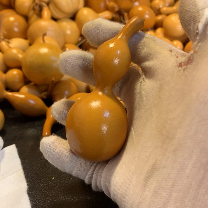 您是一颗小心的主人了嘛你看