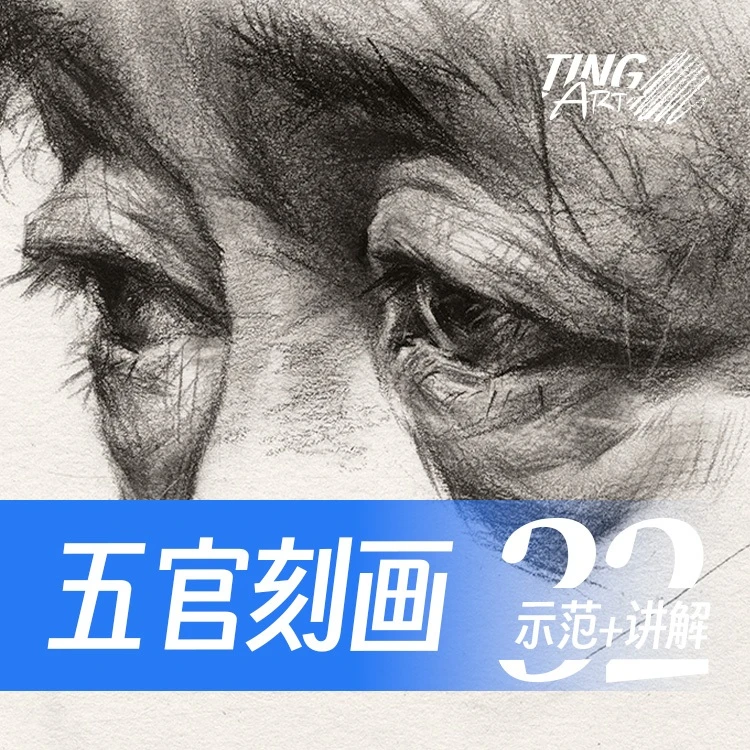 素描头像五官结构课程｜张海霆零基础入门绘画完整教学美术课