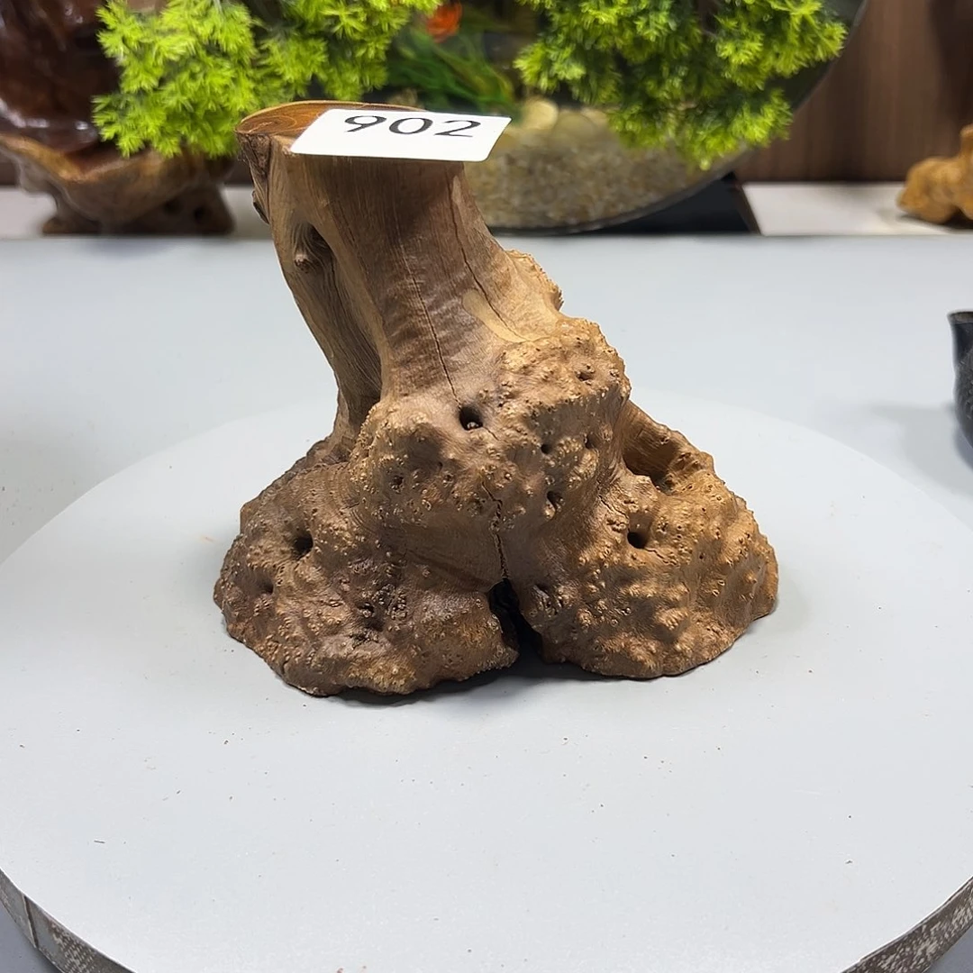 大果紫檀（缅甸花梨）金****k