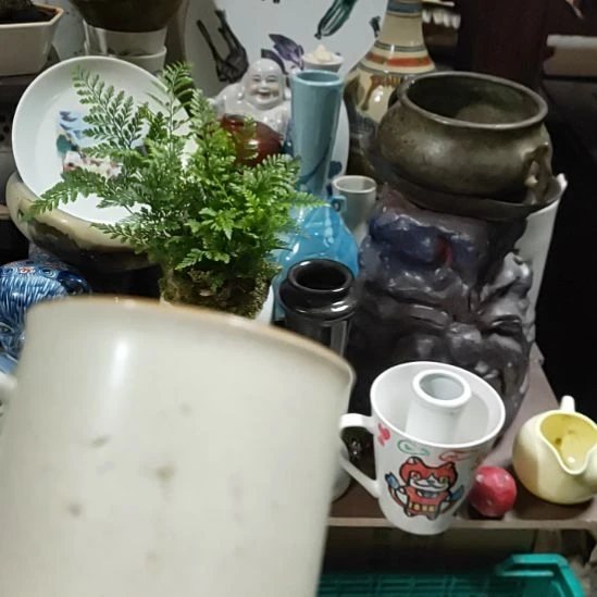 ****情茶盏瓷器吗你，么么哒