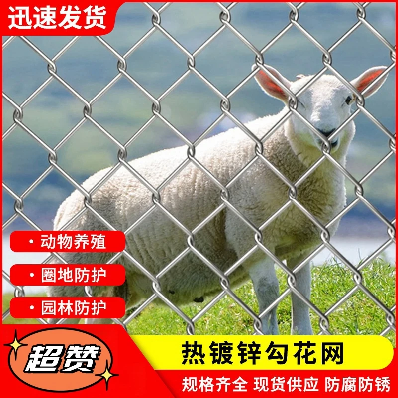 不锈钢勾花网菱形边坡防护镀锌铁丝钢丝隔离围栏果园围栏网防护网