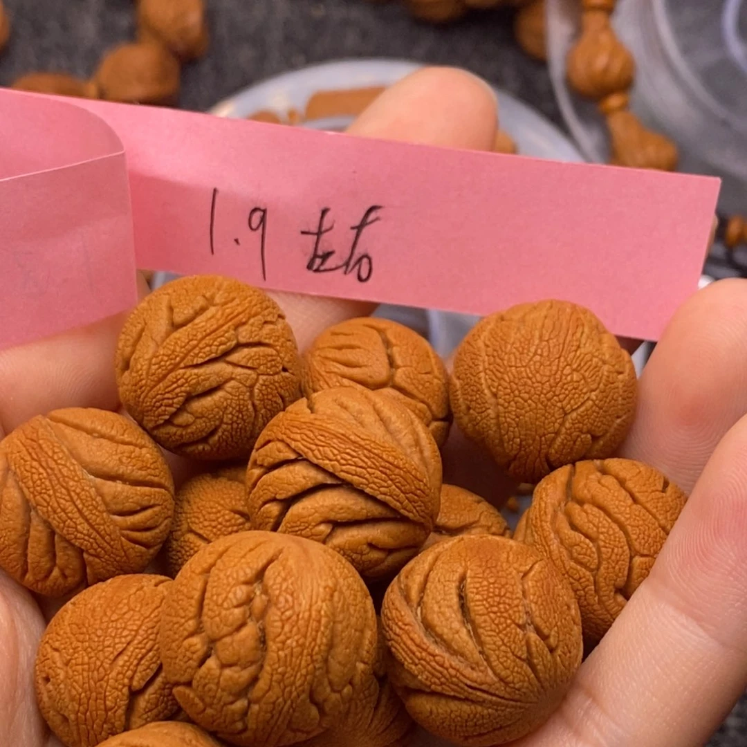 秦岭山脉龙纹桃核