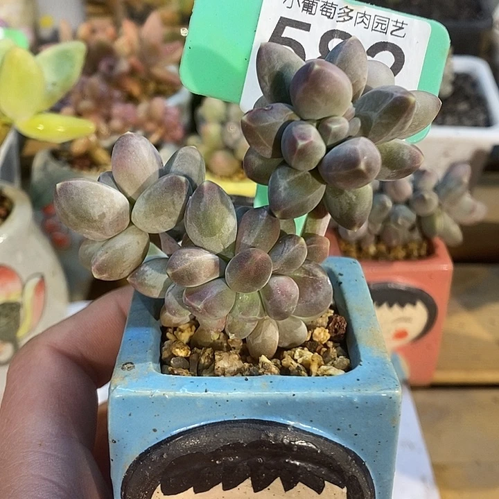 美*儿582号的啊啊啊啊星空啊啊啊
