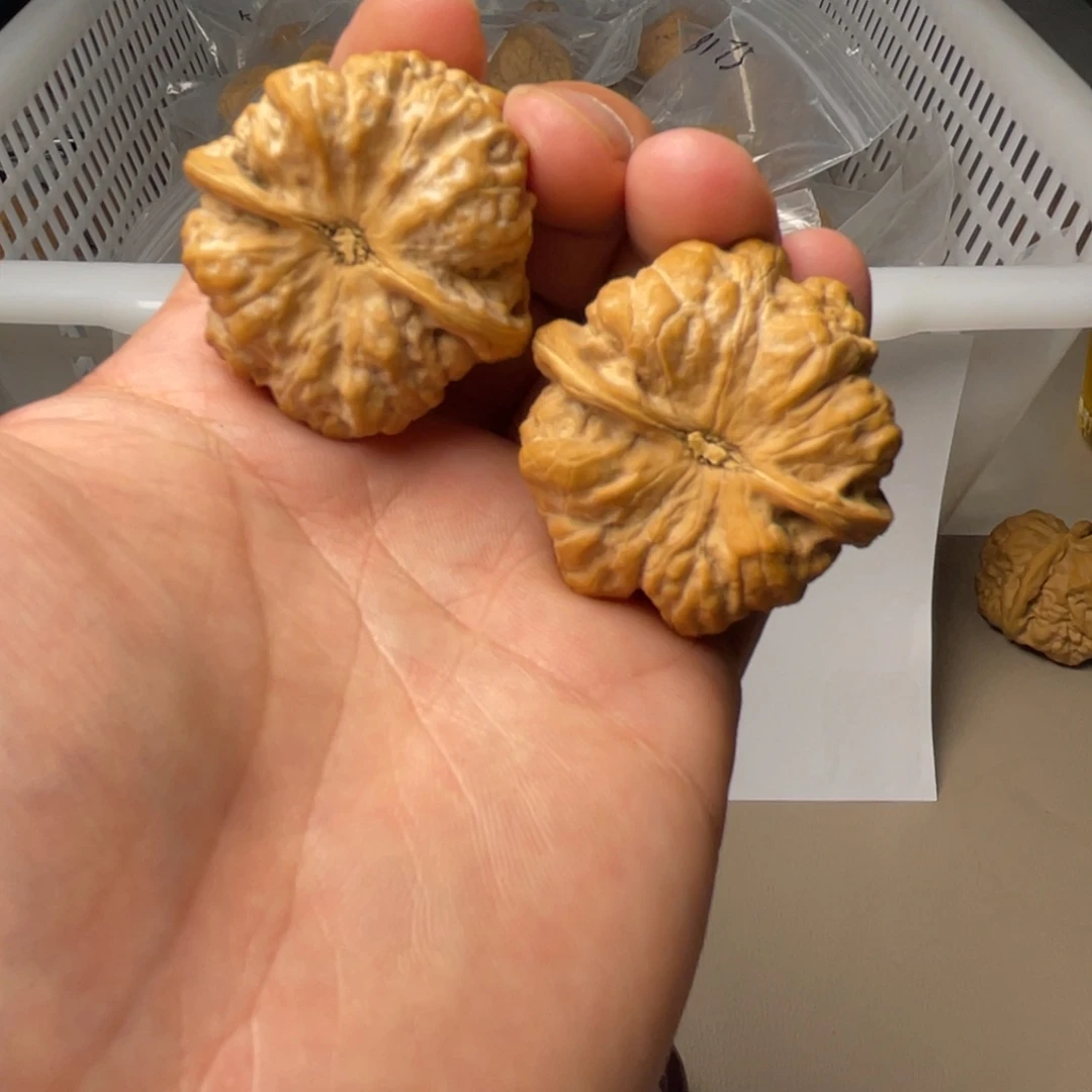 文玩核桃吊坠F****M延庆