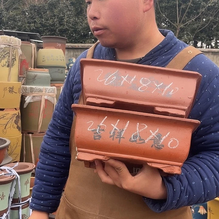 紫砂紫砂花盆盆栽