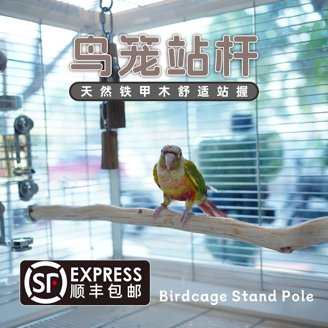 鹦鹉站杆天然铁甲木达洋鸟笼B4001B4002B5001B6045B6047实木站棍