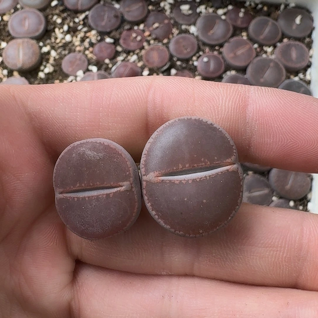 u***喆611 哈哈哈哈哈哈哈哈哈哈