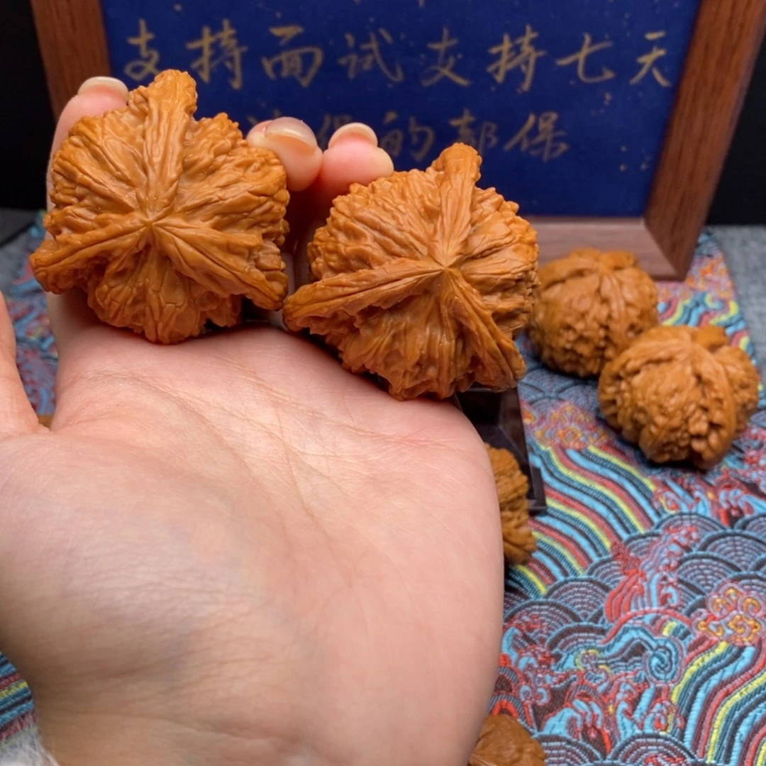 【闪购商品】凌白狮