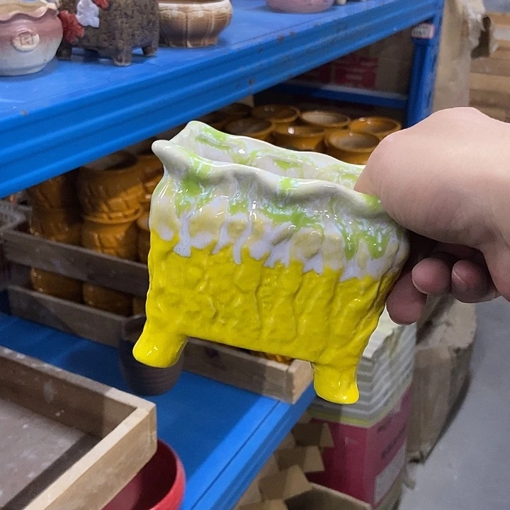 花盆单场满9.9发货11×9.5黄