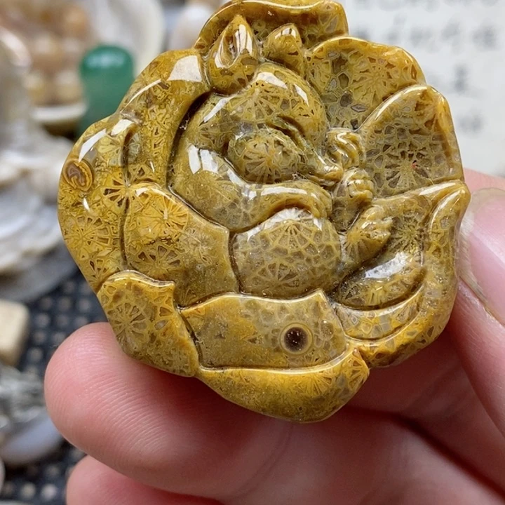 硅化珊瑚（珊瑚玉）未镶嵌颈饰