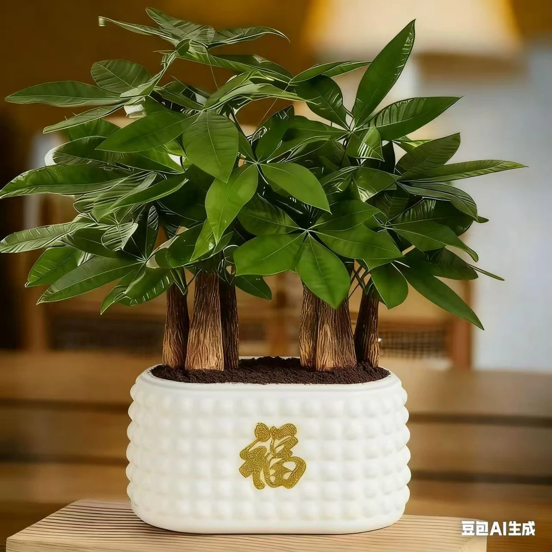6杆发财树盆栽易活植物室内客厅小盆景四季常青内盆栽花卉1