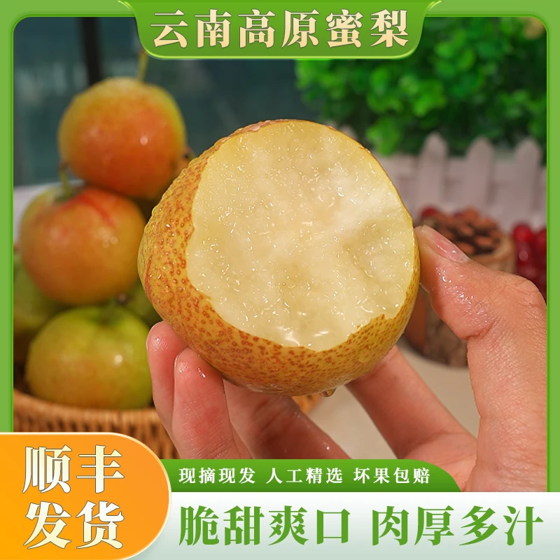 【顺丰】云南高原蜜梨新鲜应季梨子农家自种脆甜多汁现摘现发3斤起