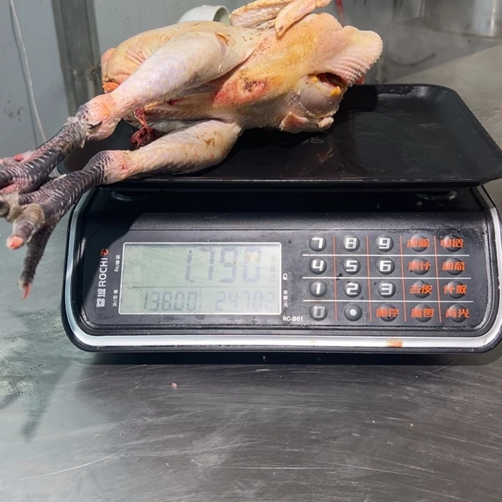 一号土鸡食用农产品中国大陆Y*