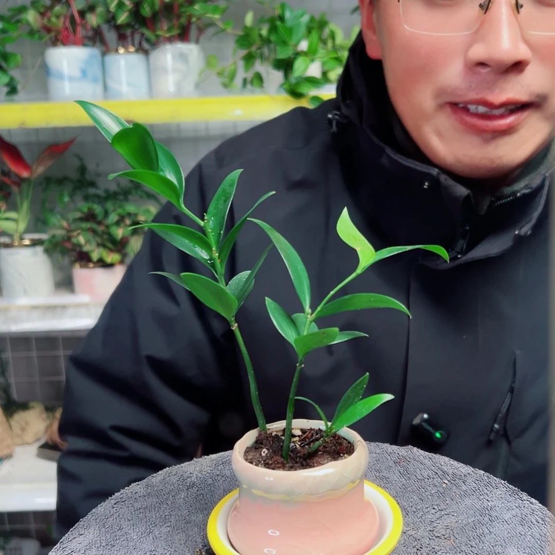 大***伊无花朵7