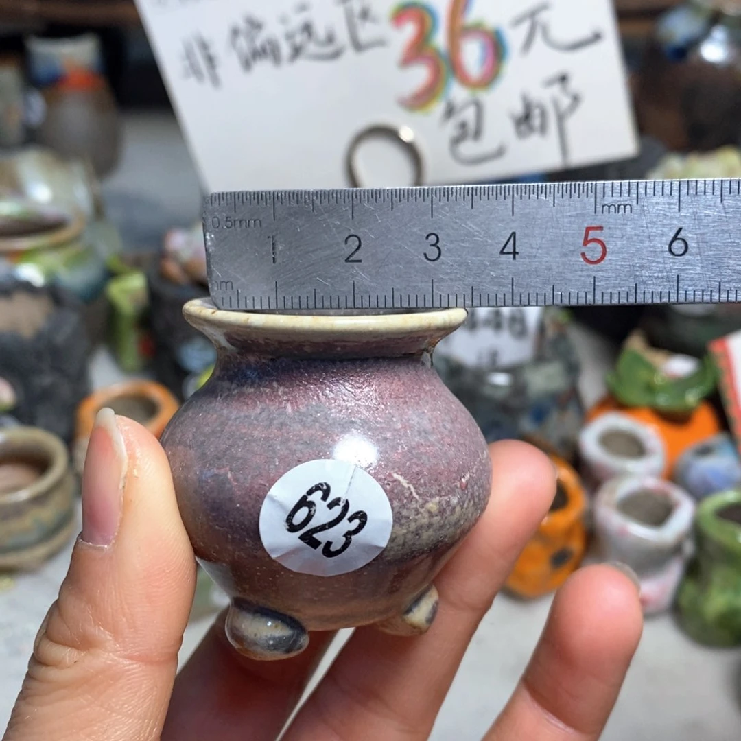 拍5送一个小礼物花盆