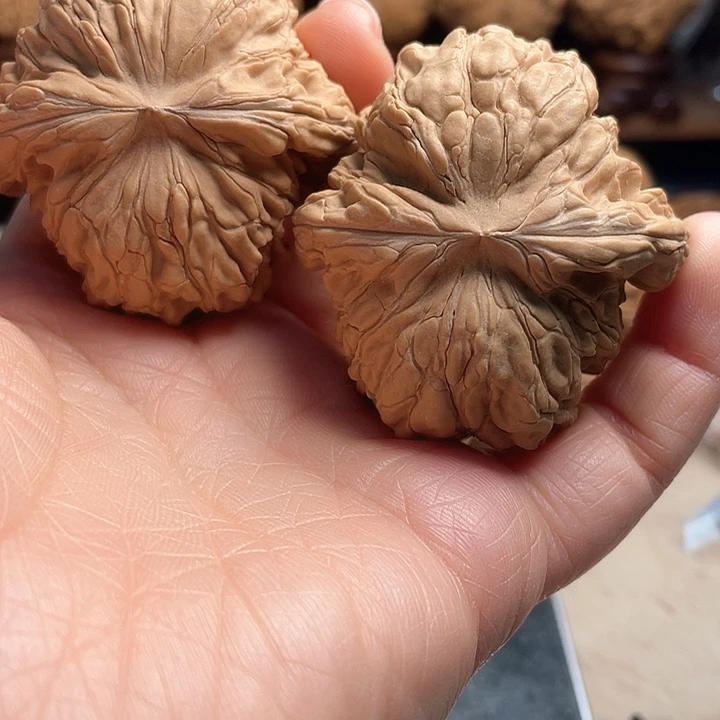 Z核桃核桃核桃核桃