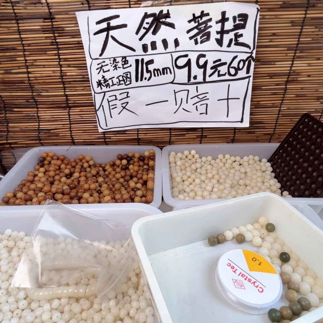 吊坠菩提根/象牙果