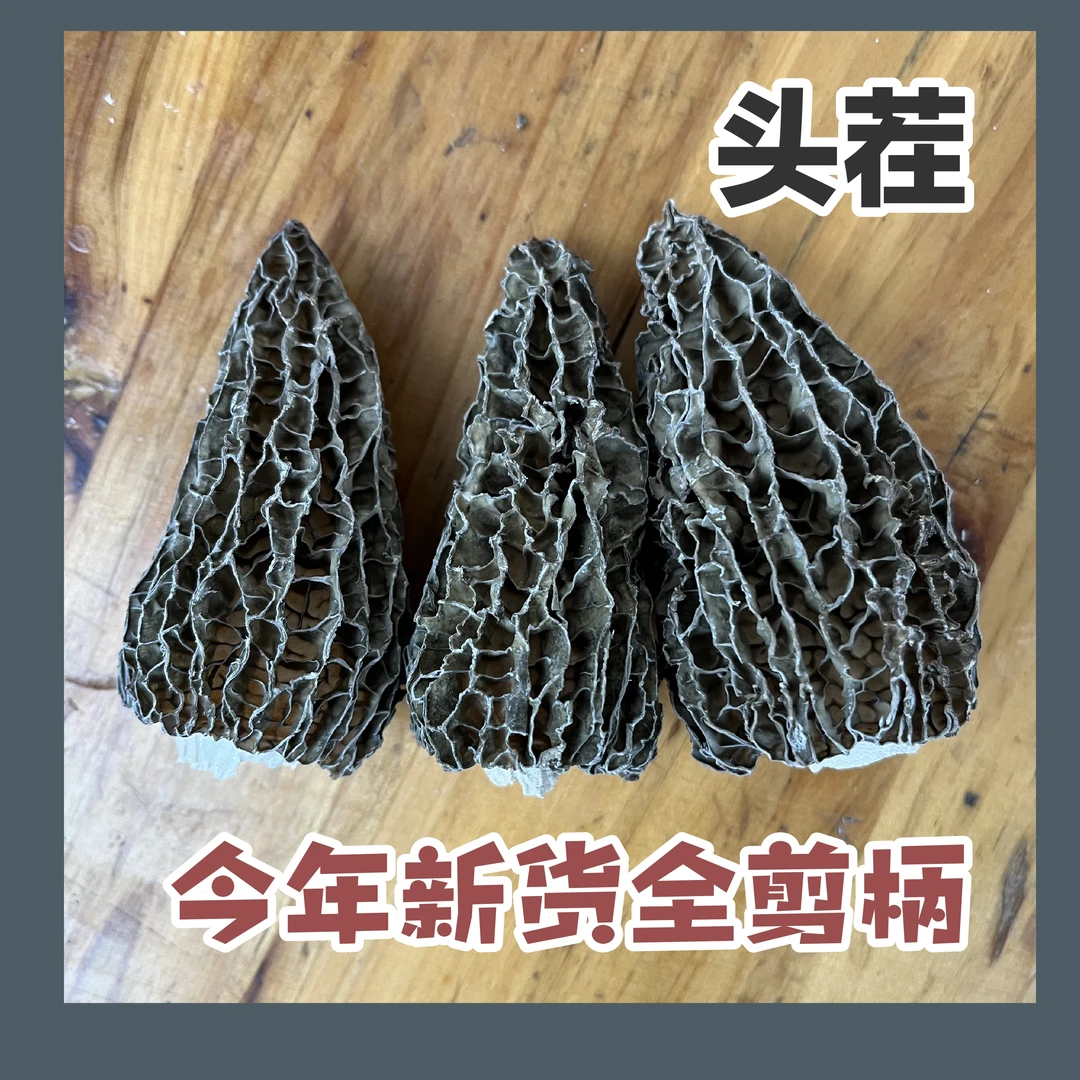 优质原生态头茬4-8全剪柄羊肚菌手工精选-煲汤