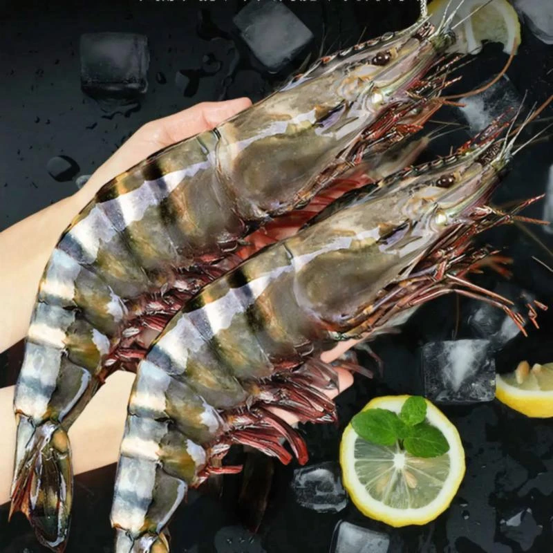 【5-6只左右/斤】特大号8-10规格 黑虎虾3斤/盒15-18只左右鲜活船冻