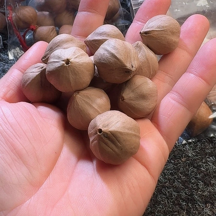 吊坠橄榄核大**哥2.4❌2.6