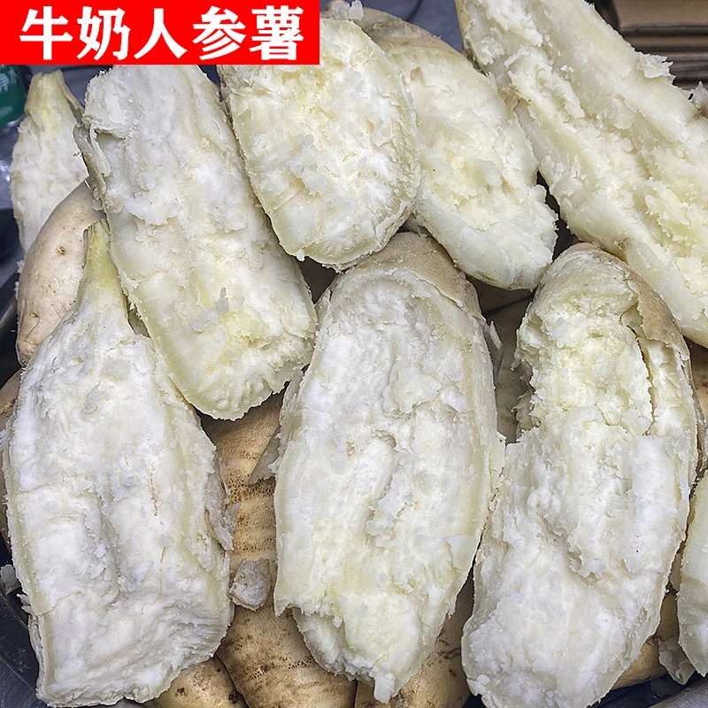 牛奶人参薯白皮白肉新鲜红薯香甜白心板栗薯现挖地瓜山芋超粉番薯