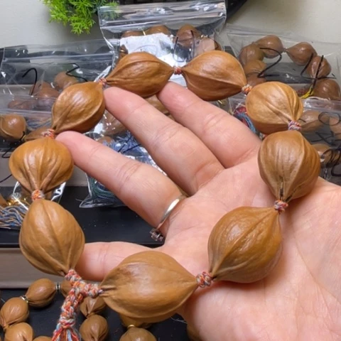 手串/手链贝壳橄榄核2.4四花138