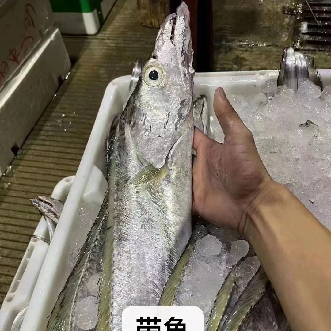 汕尾本港野生青章黄边带鱼 应季肥美
