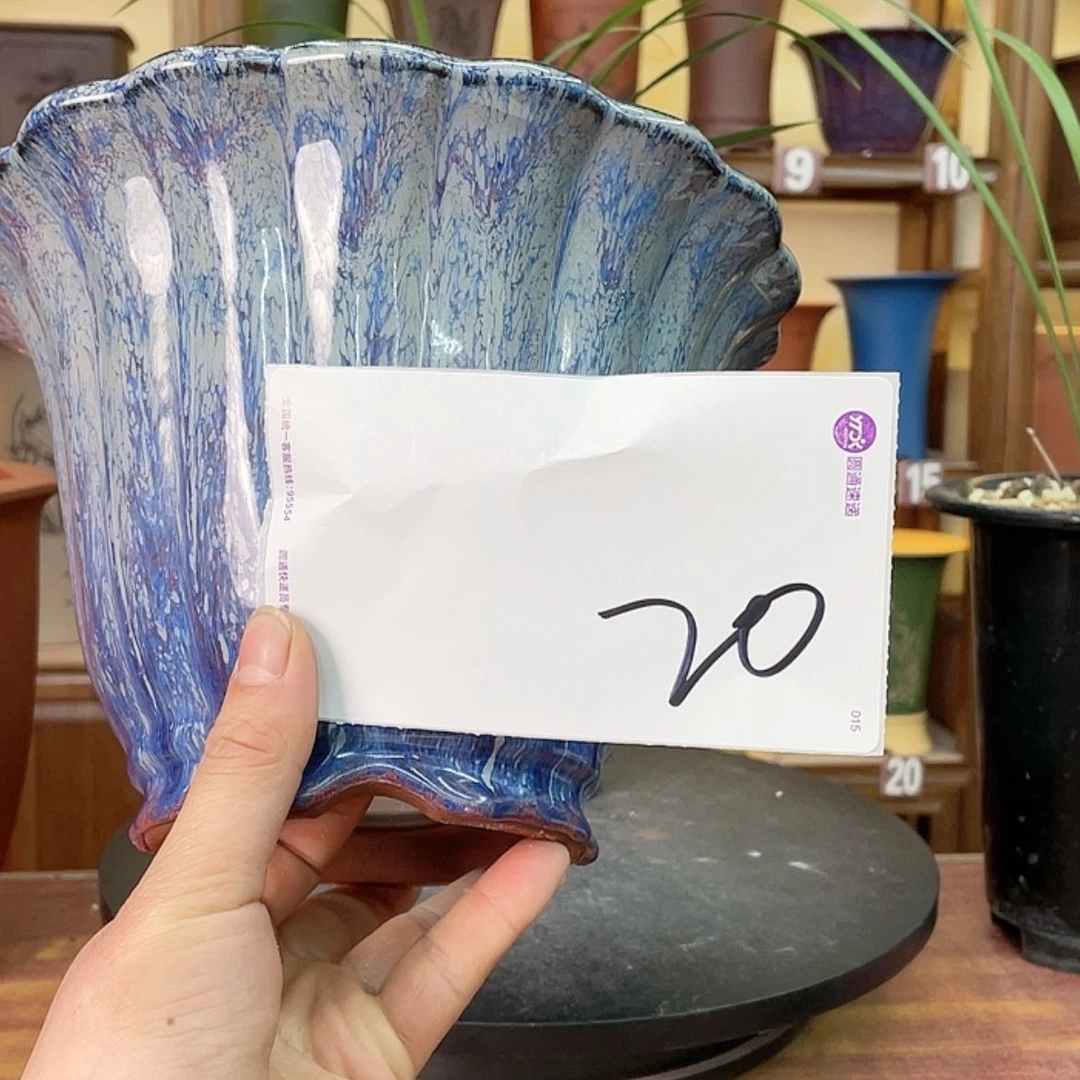 【闪购商品】紫砂花盆诺****窗兰花78565547555545